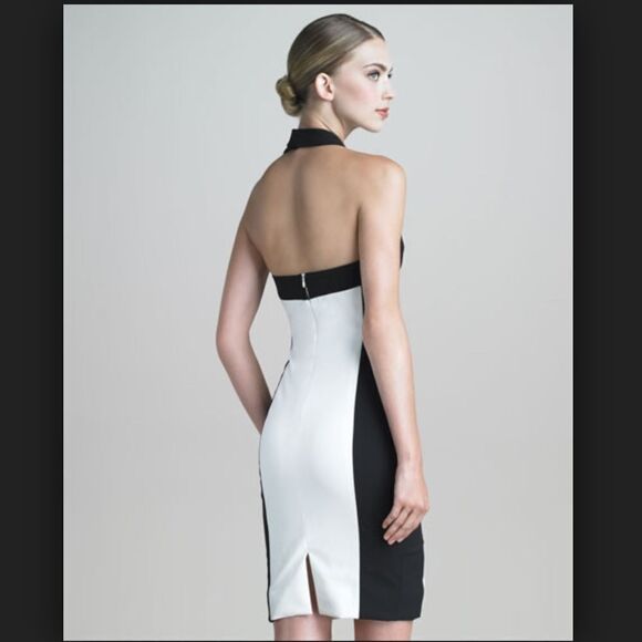 💙Jason Wu Colorblock Halter Sheath Dress - Picture 7 of 8